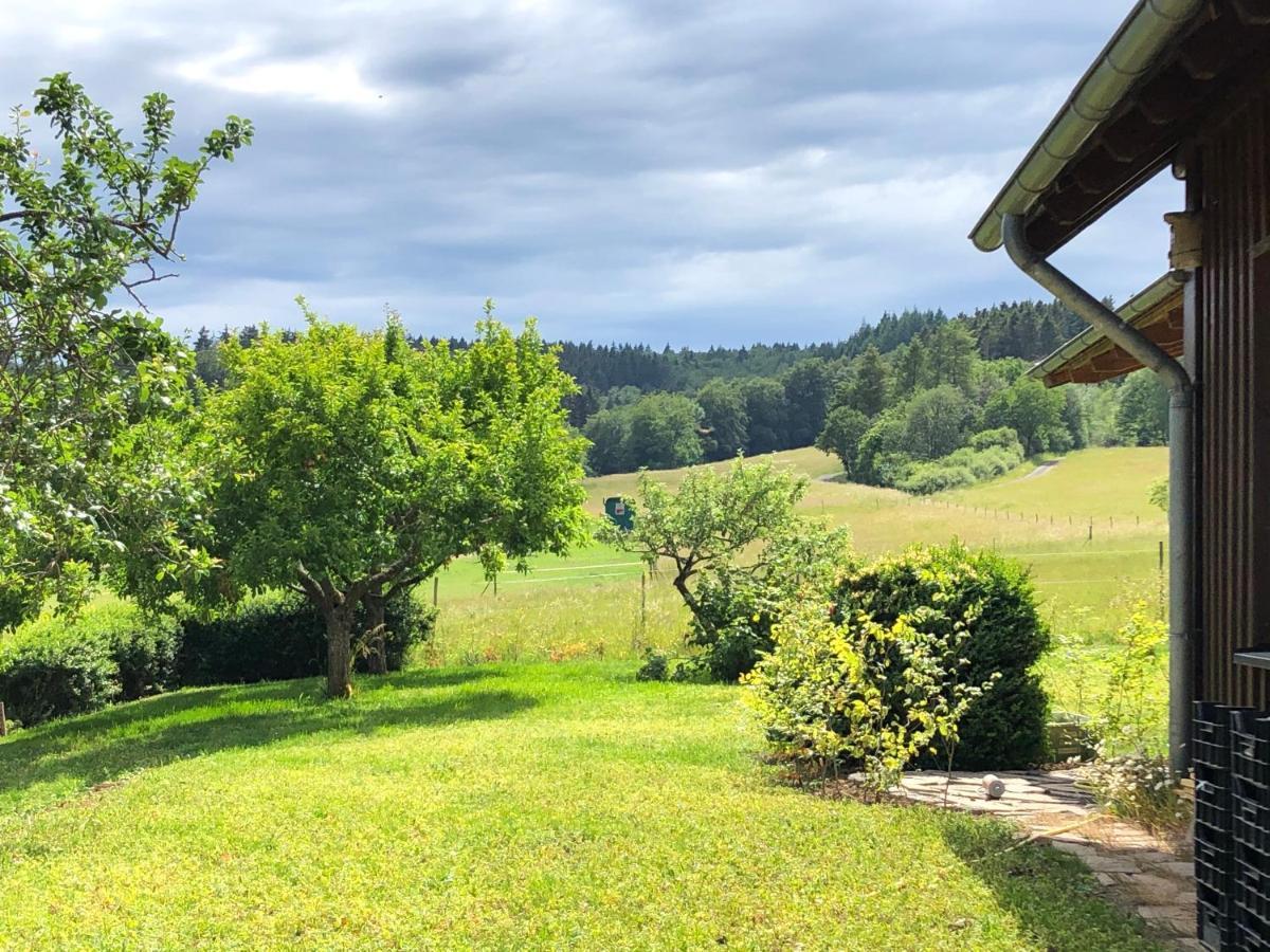 Waldhaus-Vulkaneifel Kelberg Kültér fotó